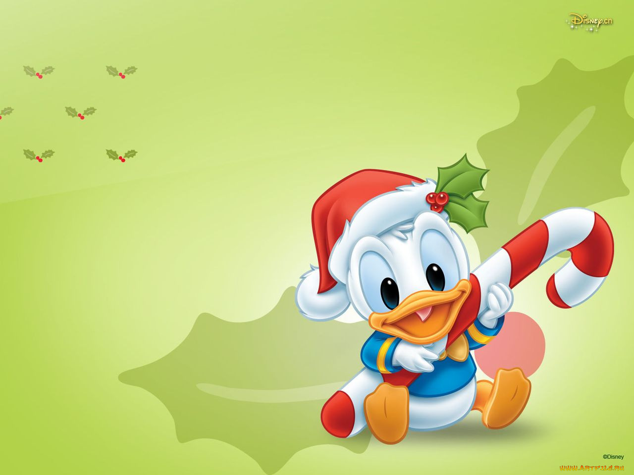 , disney